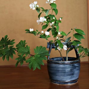 Puede incluir: Arreglo floral con flores blancas y hojas verdes en una maceta de cerámica azul oscuro con asas. La maceta está sobre una superficie de madera, con una pared marrón y una ventana con una rejilla de madera en el fondo.