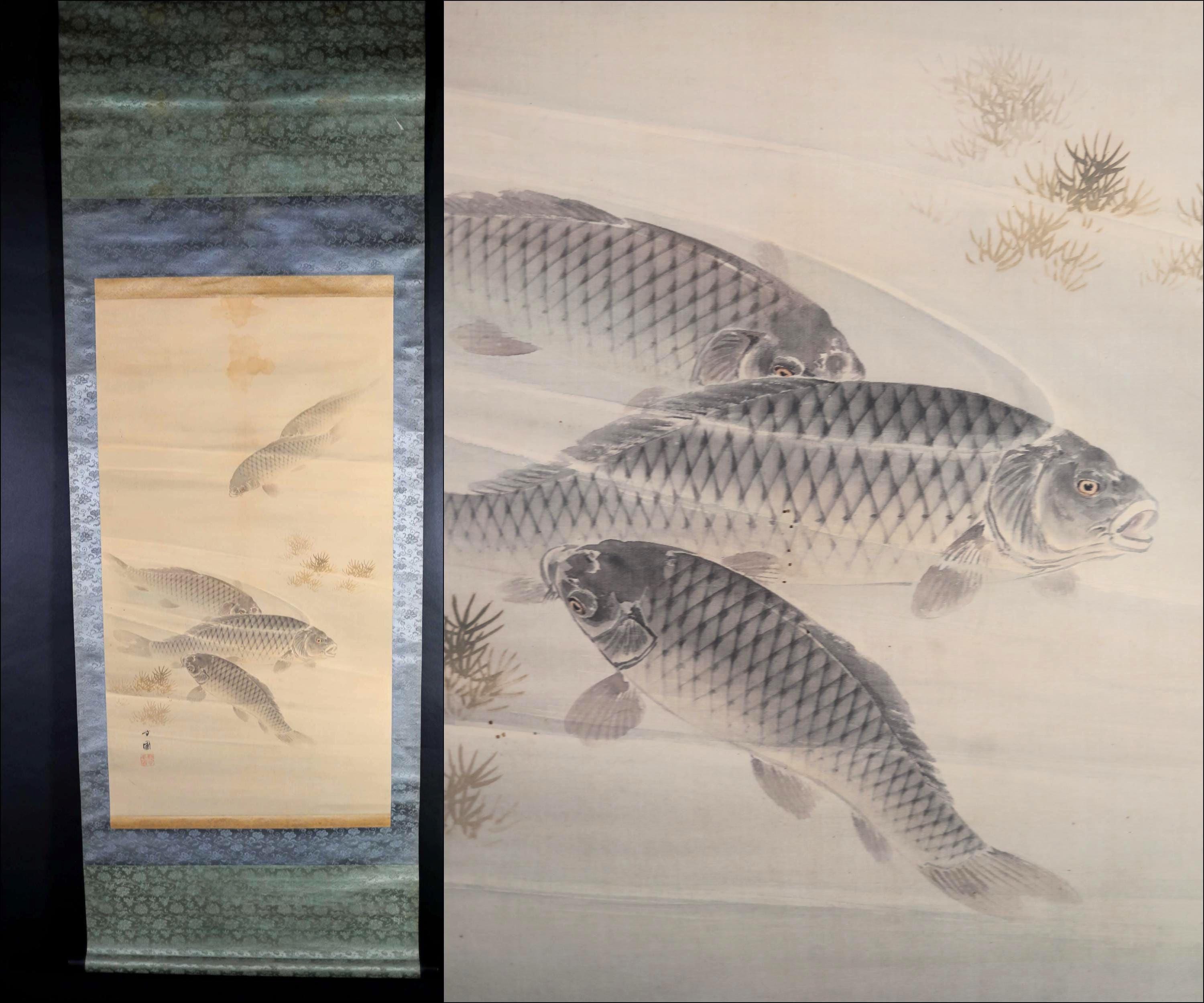 掛け軸 - 日本のアンティーク水彩画 鯉 サイン入り 掛軸 H67.7 x 24
