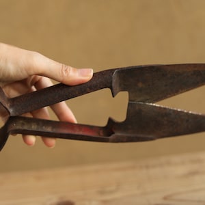 Japanische Vintage große Schere zum Rasieren von Wolle, Hokkaido Neue Landpioniere Anfang 20
