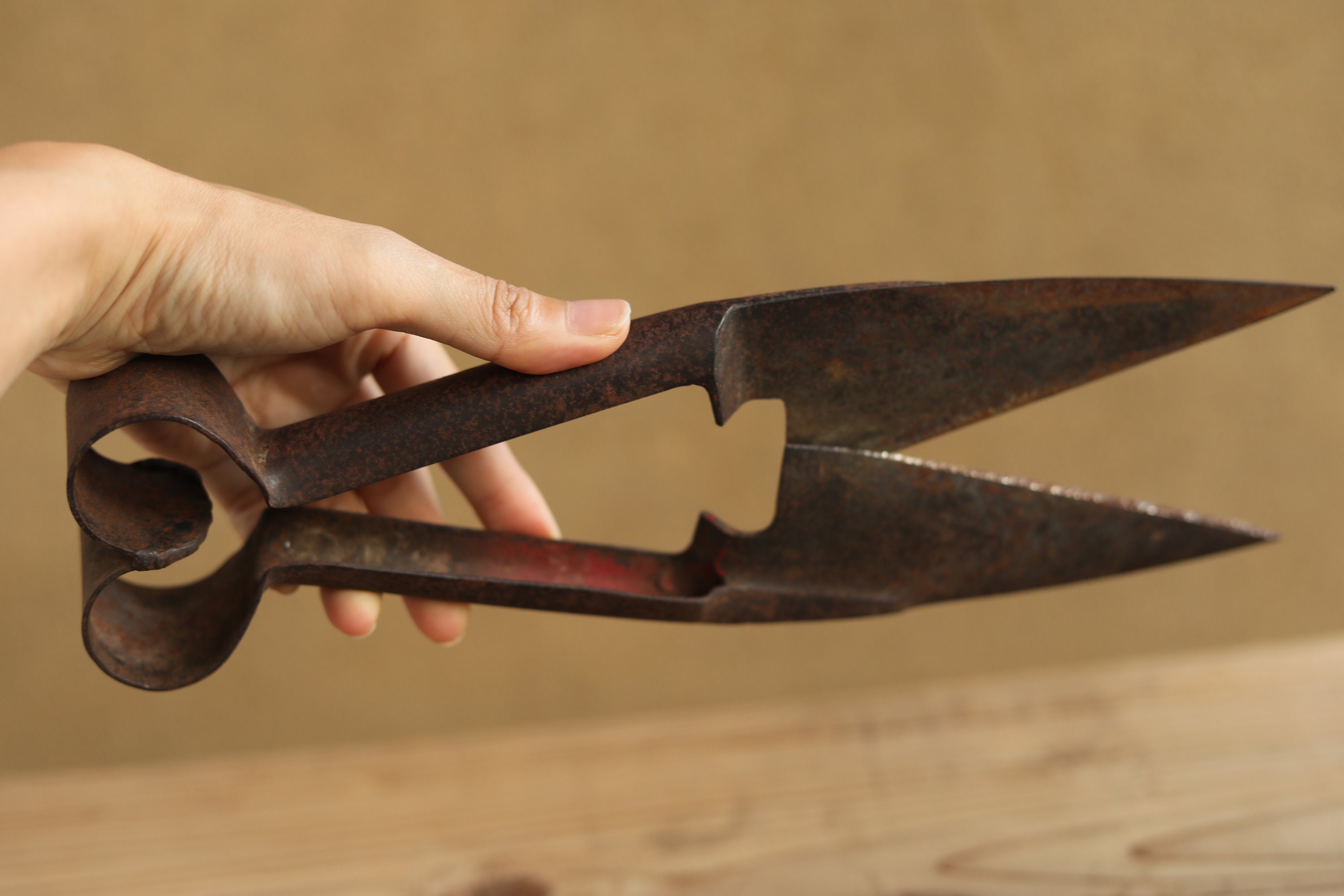 Vintage Japanese Wool Shears, Hokkaido Pioneer Tool, Kanji Signed