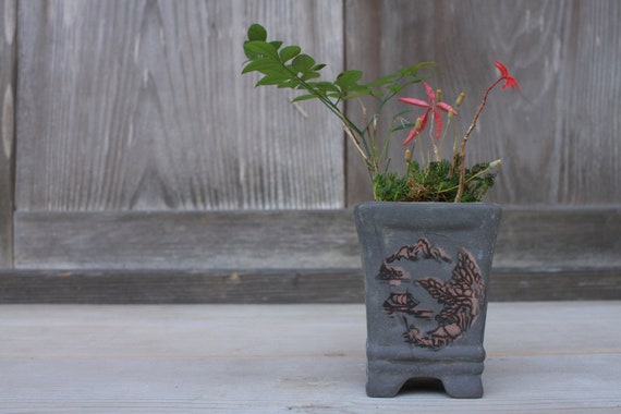 Japanische Vintage Mini Bonsai Schale, Mattschwarz mit Kanji - Etsy  sterreich