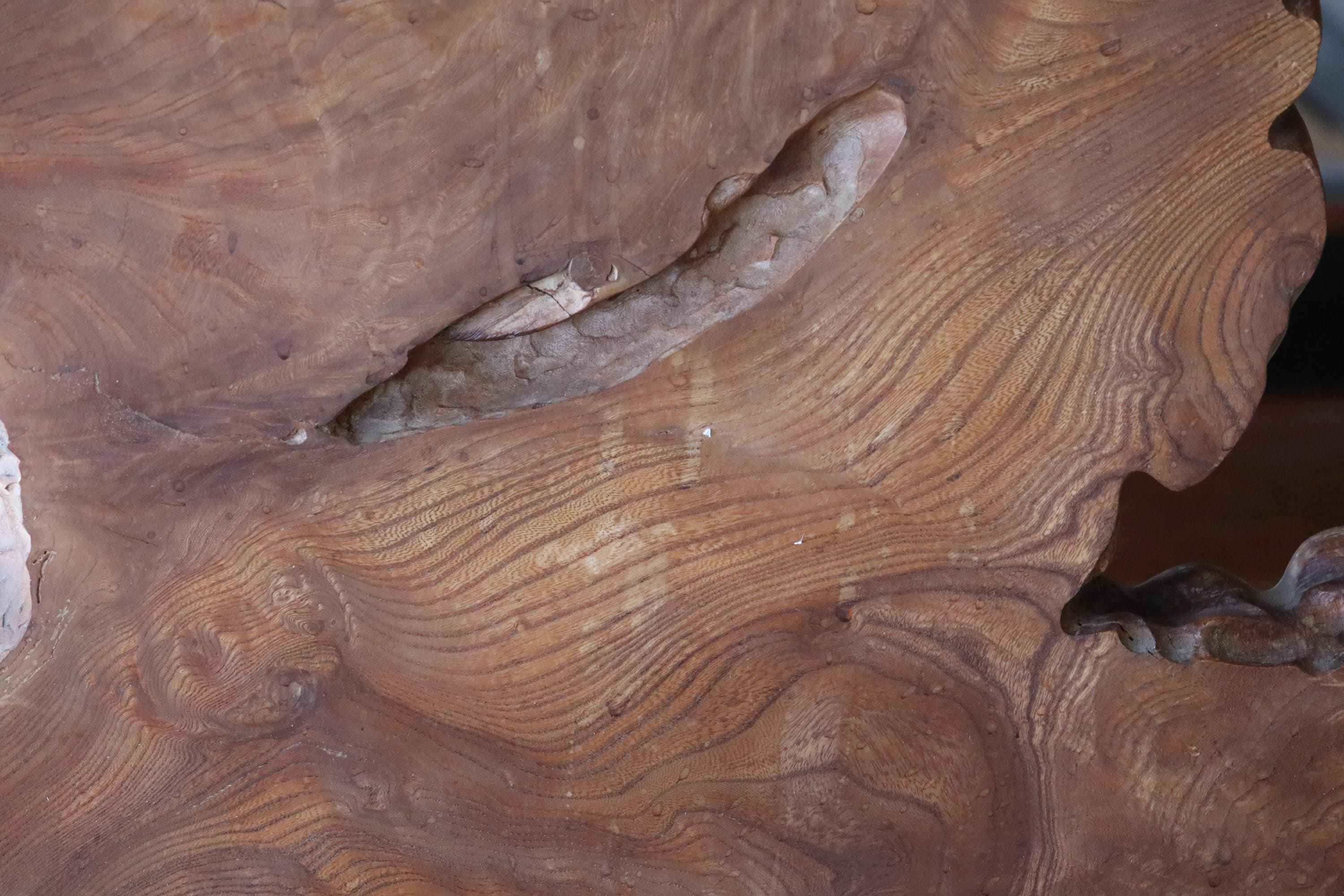 Large Keyaki Wood Slab, Japanese Burl Stump, Furniture Art (h36.6