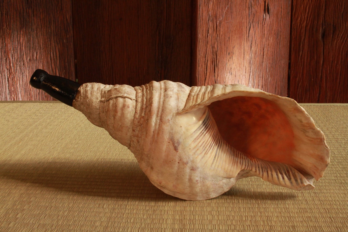 Japanese old conch shell horn buddhist monk religious Etsy