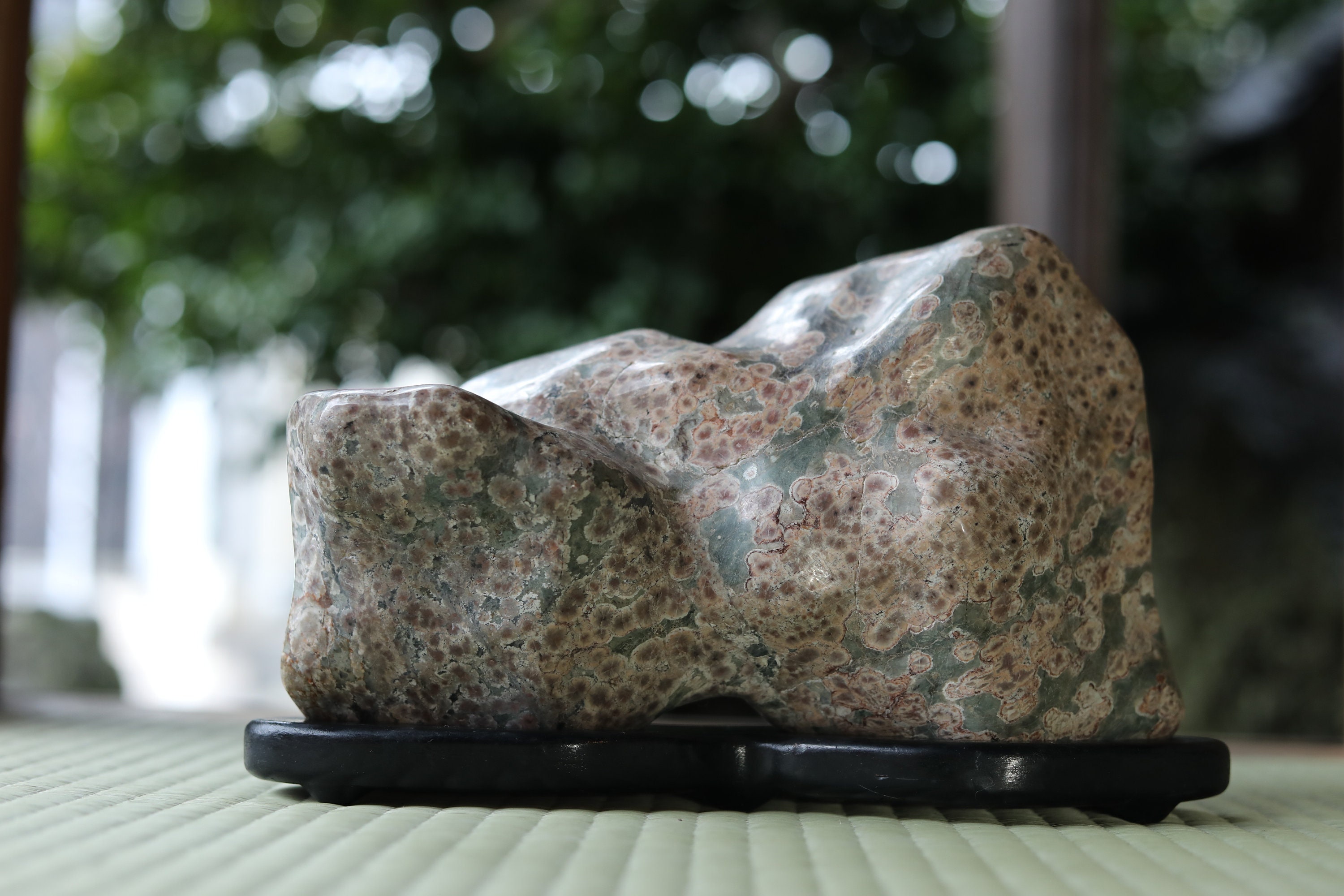 梅花石鑑賞石水石suiseki | ヤマダウェブコム