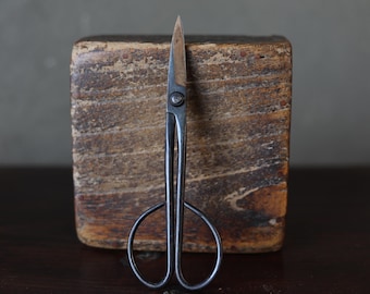 May include: A pair of small, black, metal scissors with a pointed tip and a single rivet on the handle. The scissors are resting on a wooden surface.