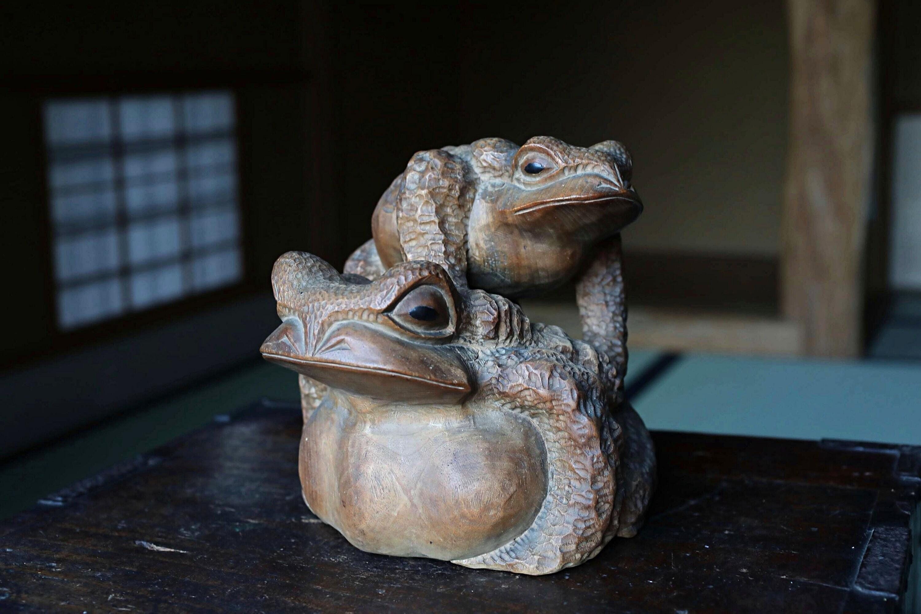 [限定品]FROG 中古品ウッドドール　キープキャスト限定カラー 中古品 il_fullxfull.7305202086_ctf4.jpg