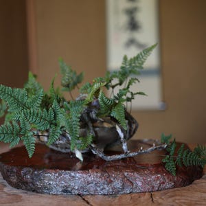 Japanese vintage sliced red stone pedestal, Sado Red Stone, Display Stand pedestal /bonsai decoration stand H1.3×W13×D10.6in/3.2×33×27cm