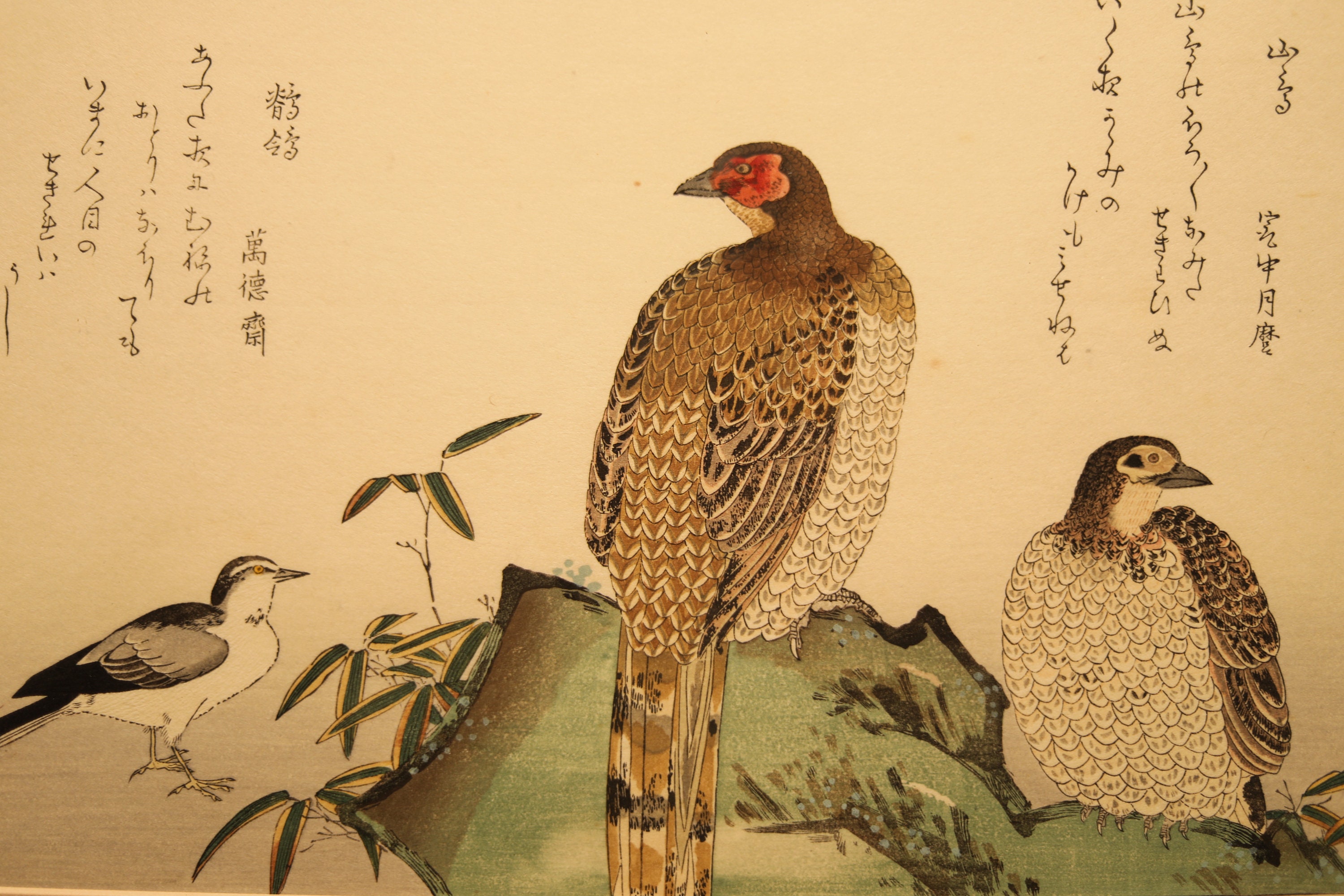 Japanese Vintage Art of Birds Wagtail, Copper Pheasant and Kanji Calligraphy Poem,block Printing With Flame, Wall Deco Picture H16.3w21.1in - Etsy Japanese Vintage Art of Birds Wagtail, Copper Pheasant and Kanji Calligraphy Poem,block Printing With Flame, Wall Deco Picture H16.3w21.1in - Etsy