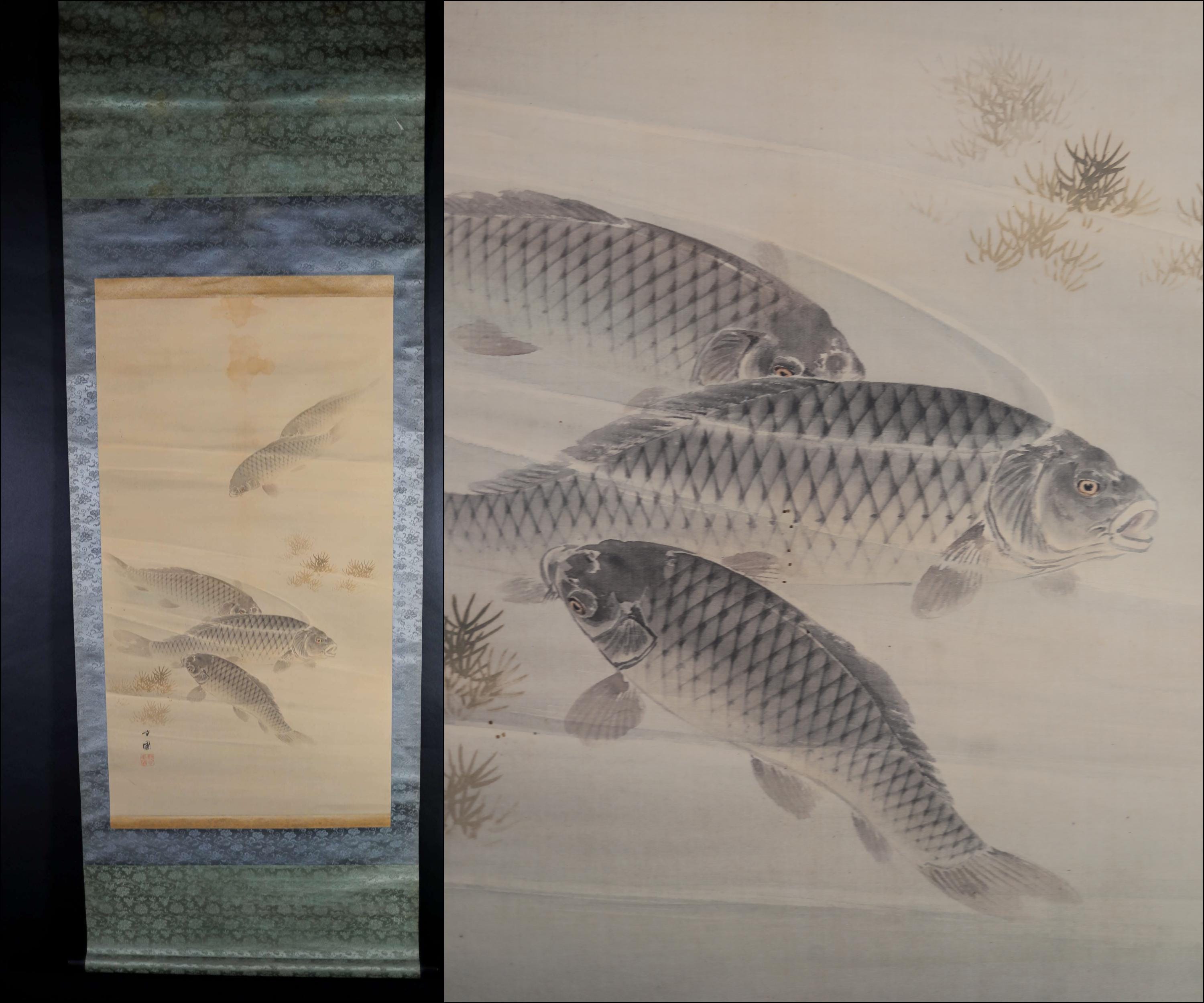 Japanese antique watercolor painting scroll fine painted carps KOI, KAKEJIKU with signature H67.7x24in / 172x61cm