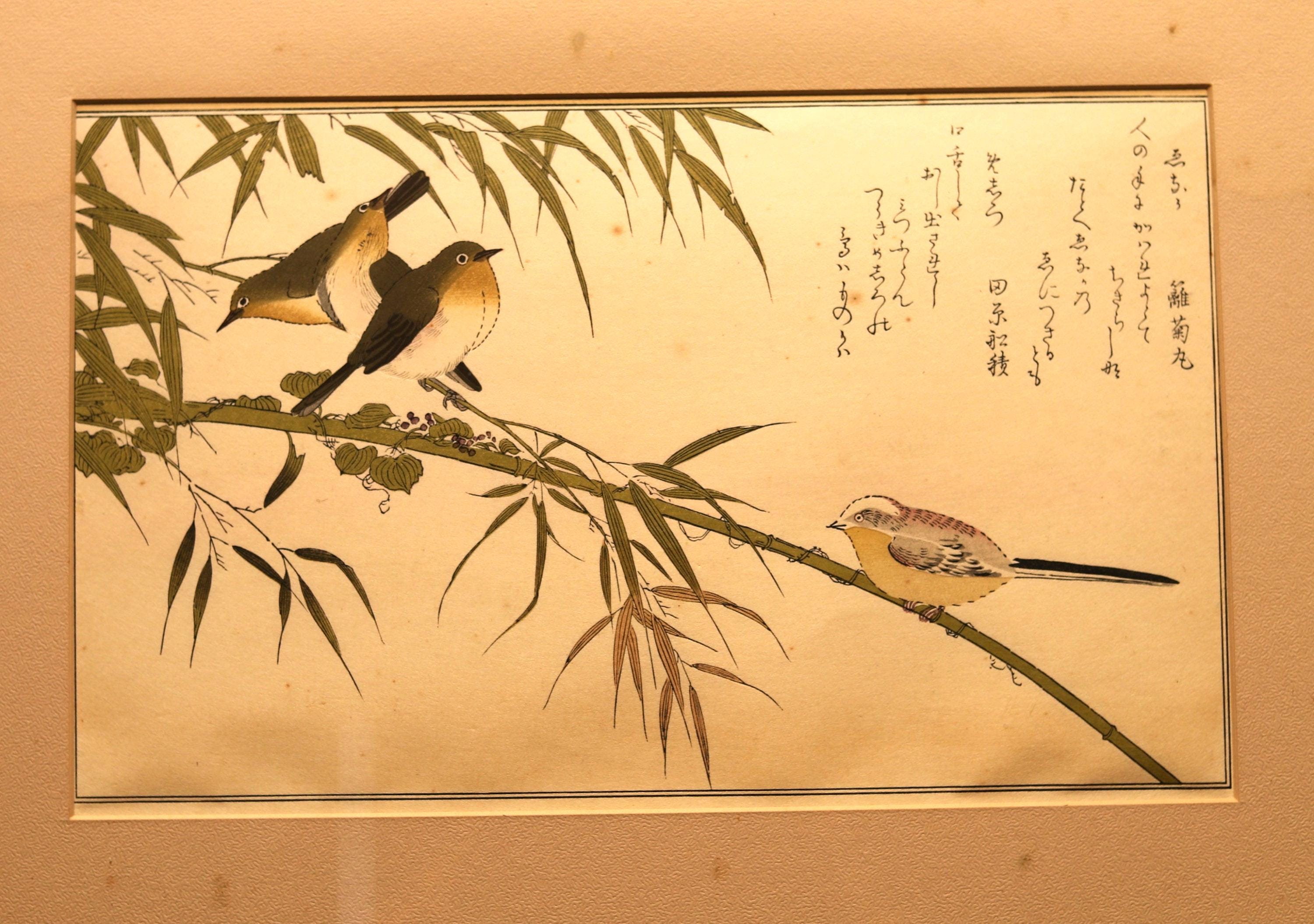 「三国相伝」弓術写本 江戸時代後期頃写 写本 1巻|巻物 和本 兵法 弓道 三国相伝」弓術写本 江戸時代後期頃写 写本 1巻|巻物 和本 兵法 弓道