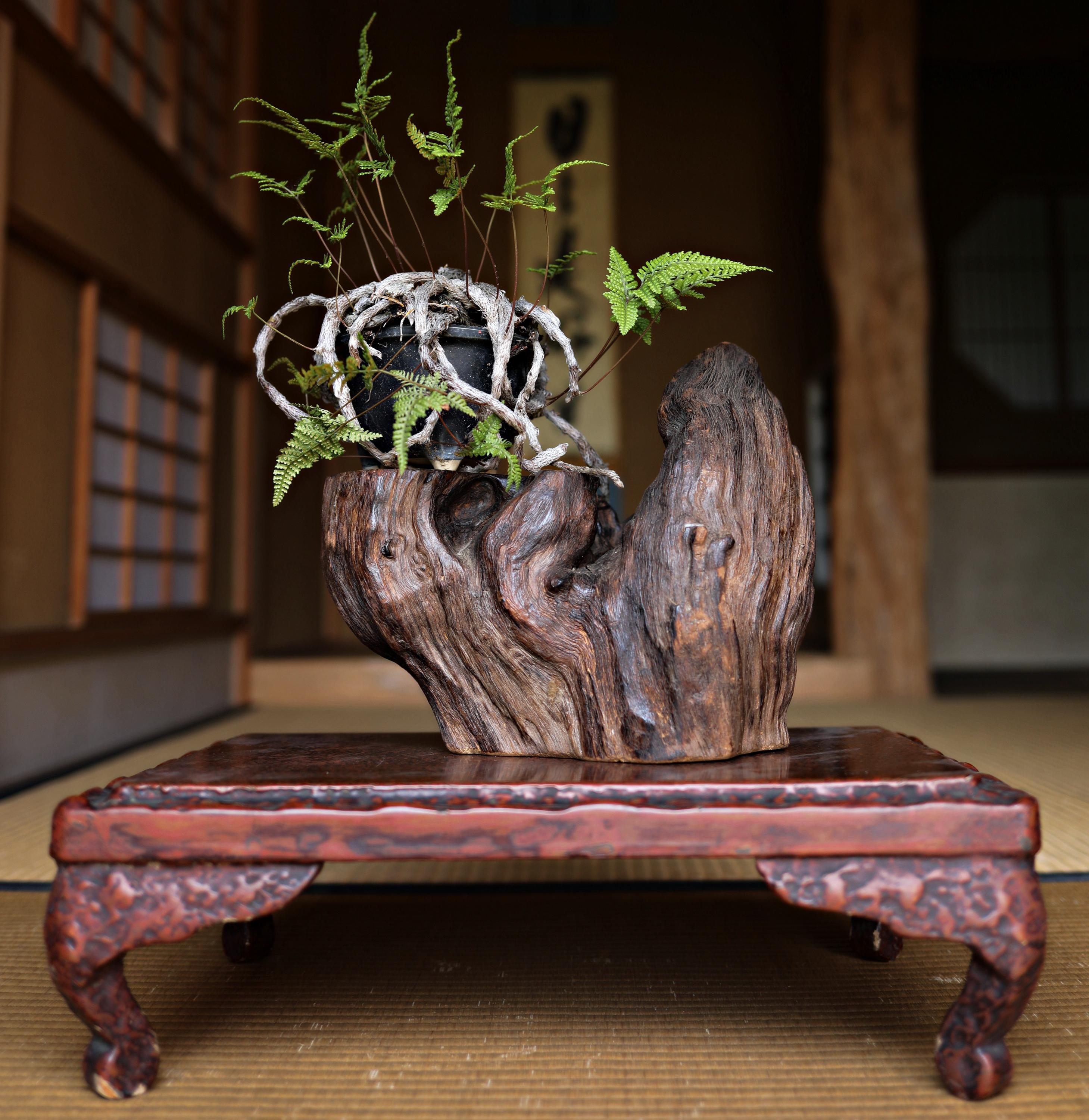 アンティークな漆塗り盆栽台 - 赤茶色の台座 - Etsy 日本