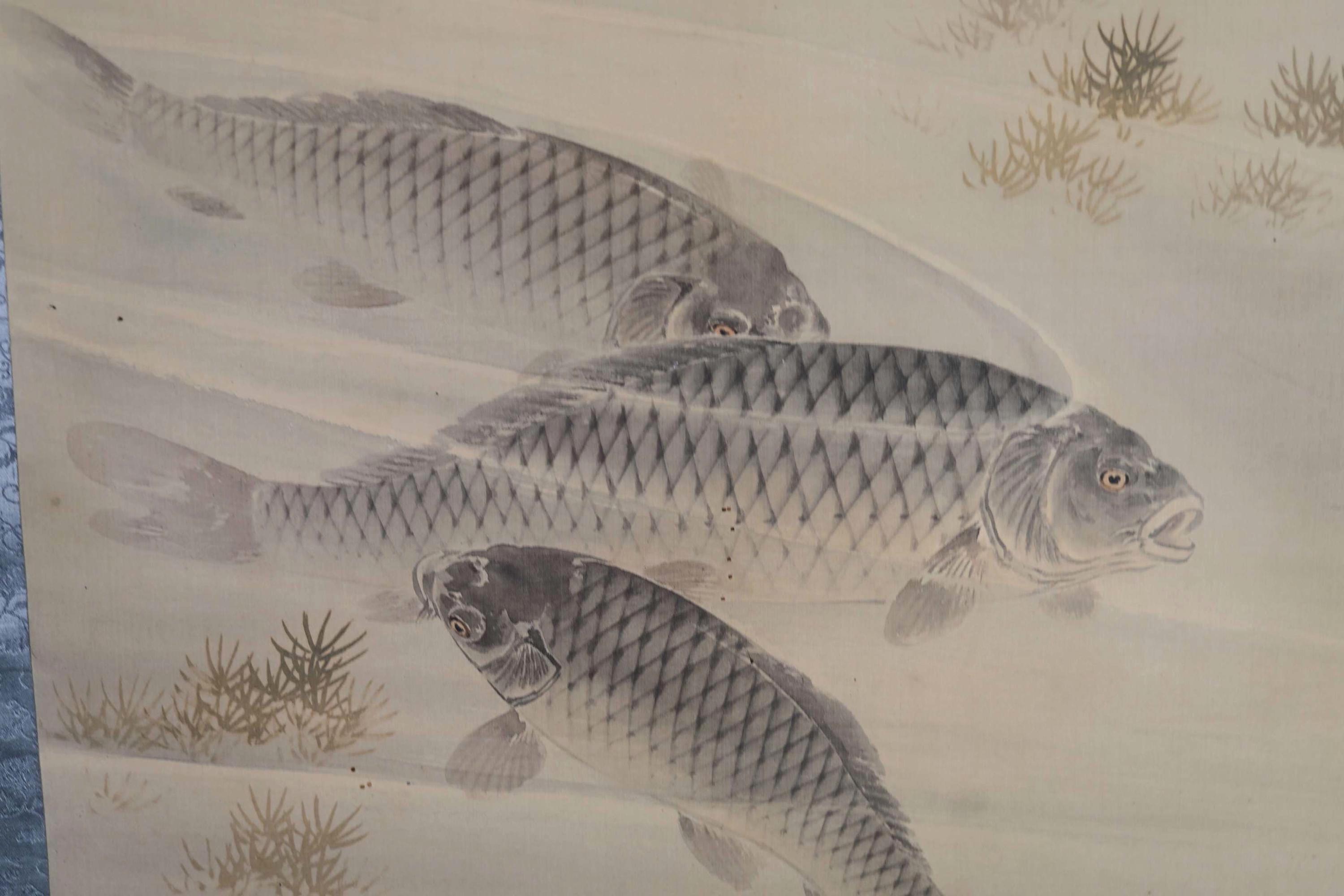 掛け軸 - 日本のアンティーク水彩画 鯉 サイン入り 掛軸 H67.7 x 24