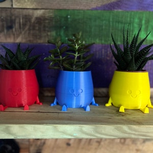 Funny Fat Bum Plant Pot (Free UK P&P)