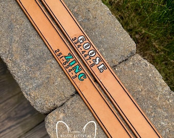 Stamped Leather Dog Collar - Name, Painted Color, Optional Phone Number
