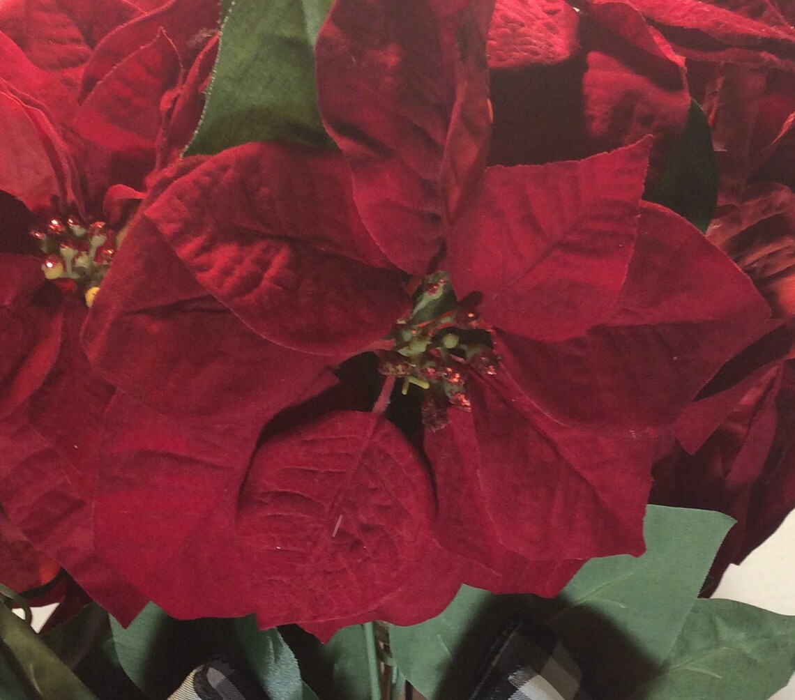 X Large Christmas Graveside Flowers, XL Poinsettia Cemetery Vase