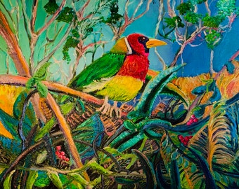 Barbet de cabeza roja de Ecuador