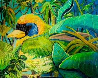 Aves del Ecuador