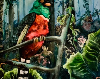 Trogan del Ecuador