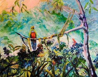Quetzal en Ecuador
