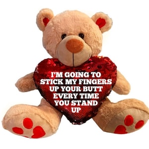 Funny Plush Valentines Day Bear, personalized gifts, gifts for him, gifts for her