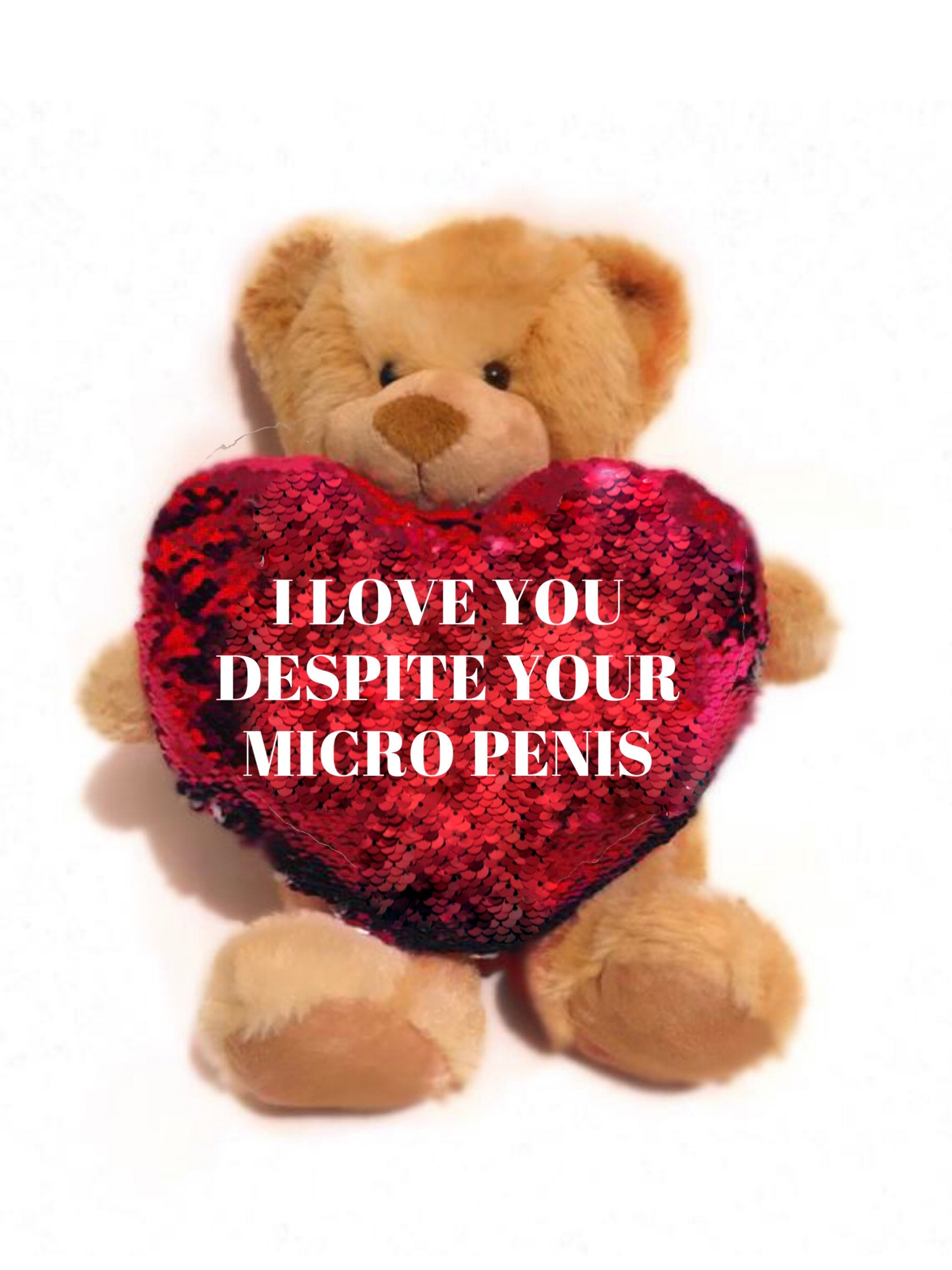 valentines day teddy for him