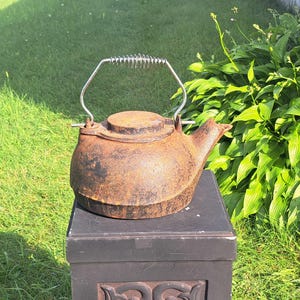 May include: A round, cast iron tea kettle with a heavily rusted, textured brown and black surface. The kettle features a flat lid, a short spout, and a silver-coloured metal handle with a coiled wire grip at the top for heat dissipation.