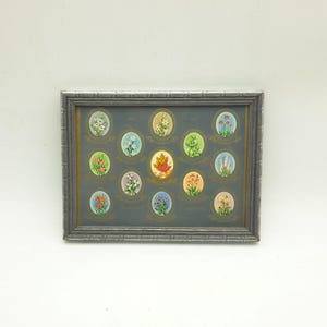 May include: A framed botanical print with twelve oval illustrations of flowers and foliage. The artwork is set against a dark grey background, with a grey wooden frame. Each floral illustration is in a different colour.
