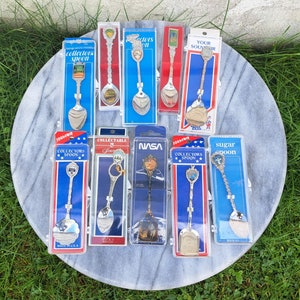 10 Souvenir Spoons in Cases: NASA, Cap Du Lac, Florida and More