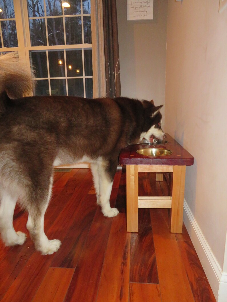 Elevated Dog Feeding Station Etsy