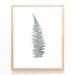 Fern/ Botanic Printable - Etsy