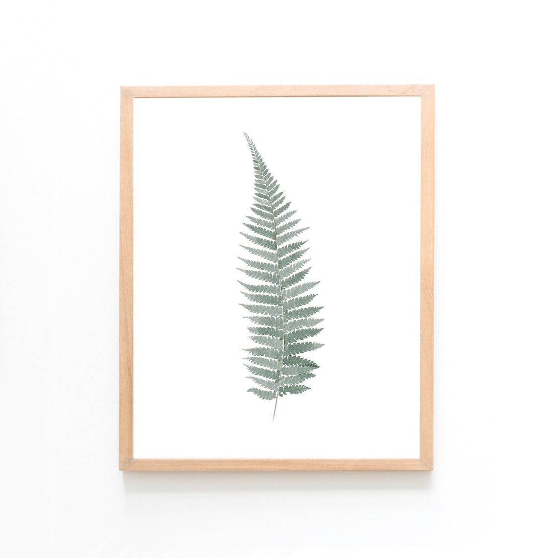 Fern/ Botanic Printable - Etsy