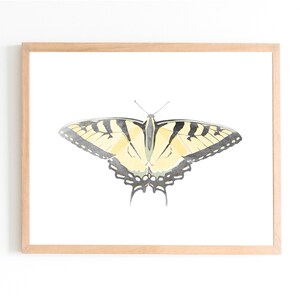 Tiger Swallowtail / Butterfly Printable