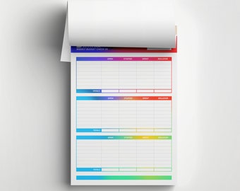 A5 Budget Check-In Notepad | 25 Sheet Notepad for Scrap or Temporary Budgets | Paycheck Bill Tracker | Budget with Ira