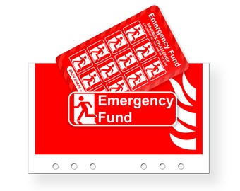 Emergency Fund Savings Challenge | Tracker & Matching Envelope | Budget with Ira
