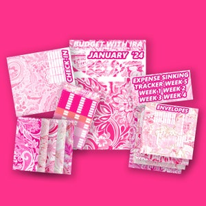 Roze Paisley-stickerset Passend bij A5 Budgetplanner Paycheck Bill Tracker, kalender, inchecken Begroting met Ira afbeelding 2