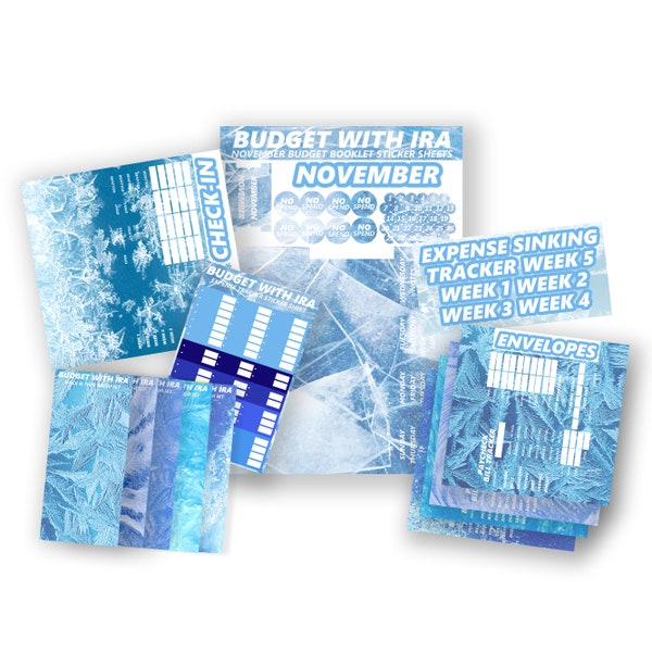 Cold Hard Cash Sticker Kit |  To Fit A5 Budget Planner | Paycheck Bill Tracker, Calendar, Check-In! | Budget with Ira