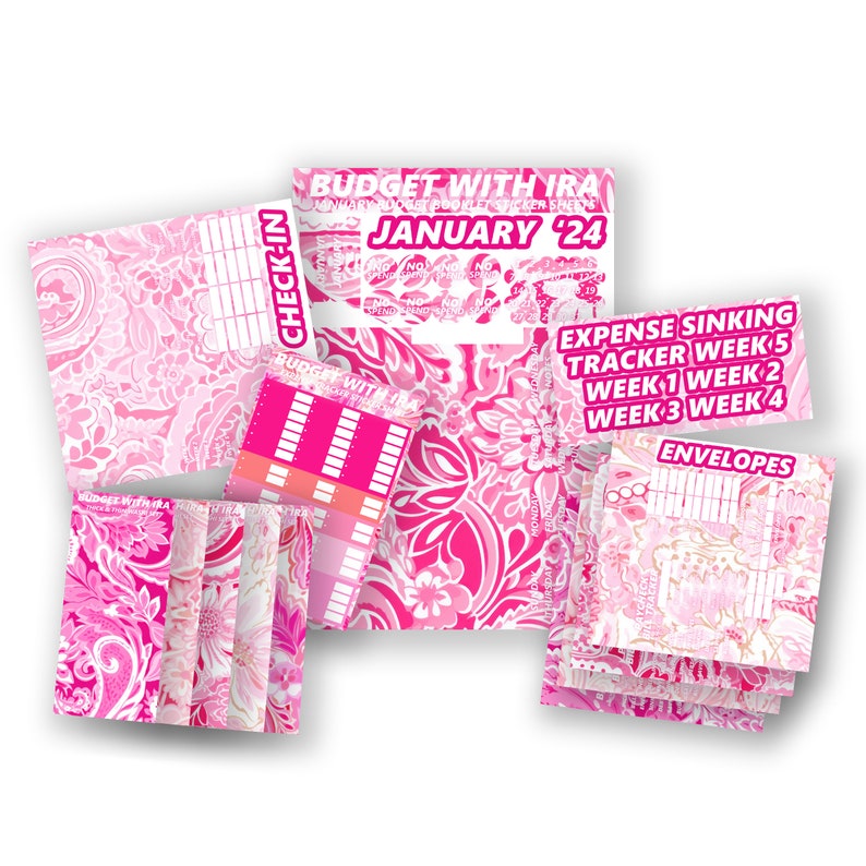 Roze Paisley-stickerset Passend bij A5 Budgetplanner Paycheck Bill Tracker, kalender, inchecken Begroting met Ira afbeelding 1