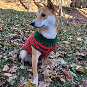 Striped Christmas Crochet Dog Sweater, Customizable Holiday Outfit