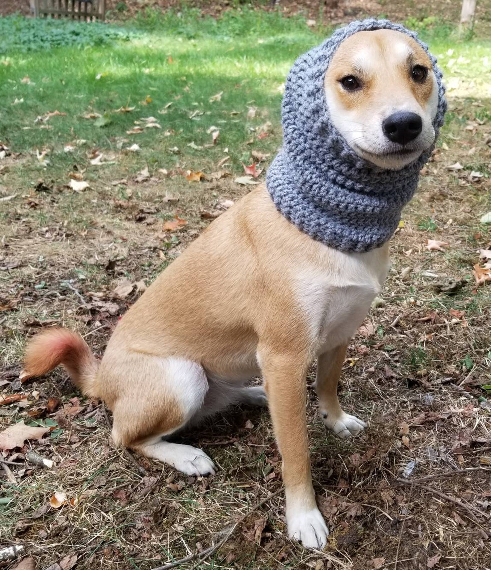 Crochet Dog Snood Dog Scarf Winter Fall Autumn Etsy