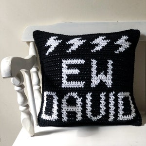 Crochet Pillow Pattern, Crochet Pattern, Crochet Pillow Cover, Tapestry Crochet, Crochet Decor, Schitt&#39;s Creek Lover