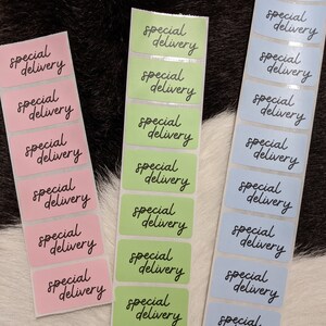 May include: Three rows of rectangular stickers with the text "special delivery" written in black cursive on a light pink, light green, and light blue background.