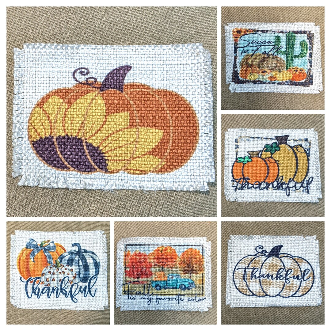 Thankful Grateful Blessed Pumpkin Succulent ~ Hat Patch, Cap Patch ...