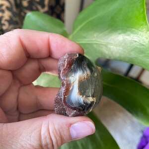May include: A geode with a white and gray agate interior and a reddish-brown exterior. The geode is partially open, revealing the agate inside.