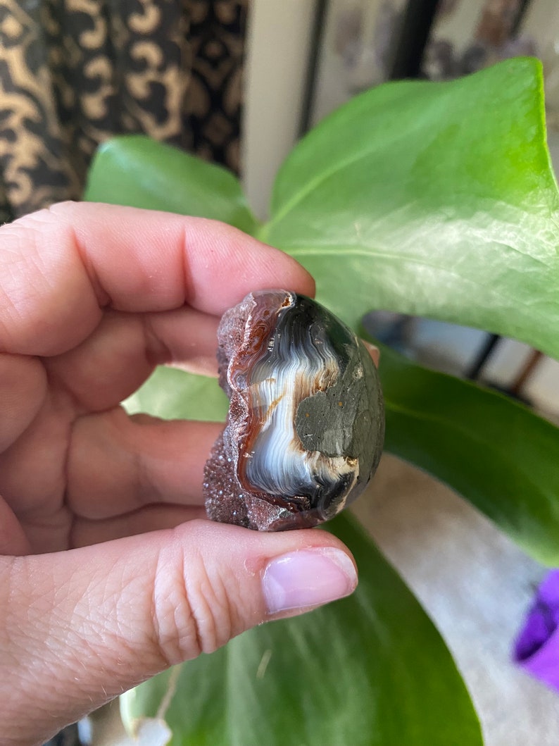 May include: A geode with a white and gray agate interior and a reddish-brown exterior. The geode is partially open, revealing the agate inside.