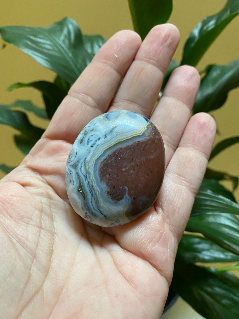 8th Vein Ocean Jasper Palm Stone Etsy
