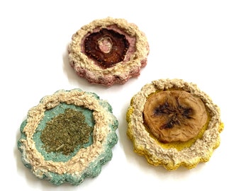 Frosted Forage Cookie | Bunny Treats | Banana and Oat Treat for Rabbits, Guinea Pigs, Hamsters, and any Small Pet | Small Pet Treat