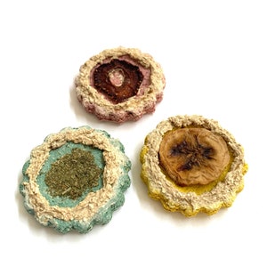 Frosted Forage Cookie | Bunny Treats | Banana and Oat Treat for Rabbits, Guinea Pigs, Hamsters, and any Small Pet | Small Pet Treat