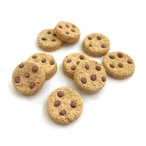 Small Chocolate Chip Cookie Treat | Banana & Oat Treat for Rabbits, Guinea Pigs, Hamsters, and any Small Pet | Small Pet Treat