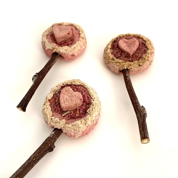 Valentine's Day Lollipop Treat | Bunny Treat | All Natural  Treat for Rabbits, Guinea Pigs, Hamsters and any Small Pet | Small Pet