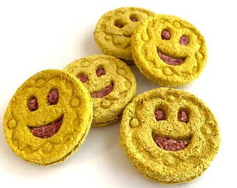 Frosted Smile Cookies | Bunny Treat | All Natural  Treat for Rabbits, Guinea Pigs, Hamsters and any Small Pet | Small Pet Treat